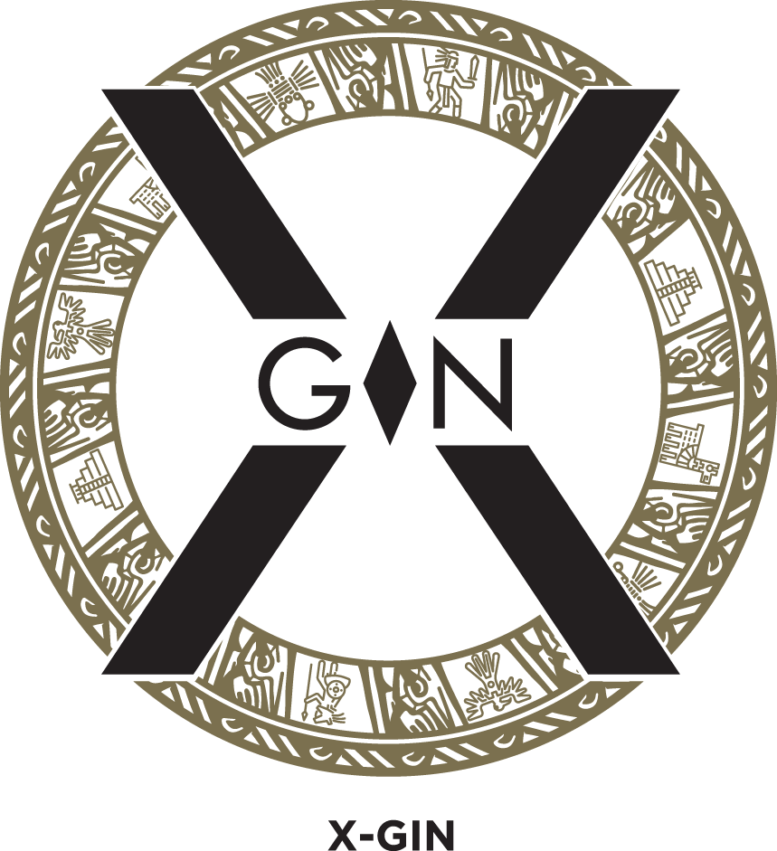 X-Gin logo
