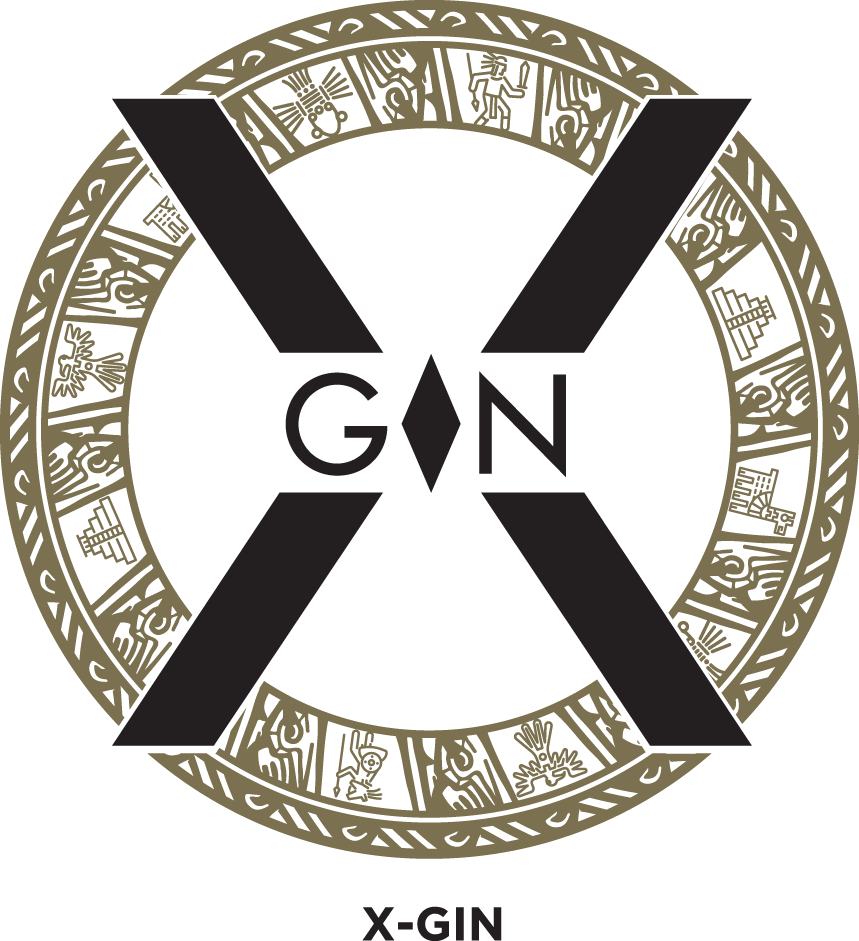 X-gin logo